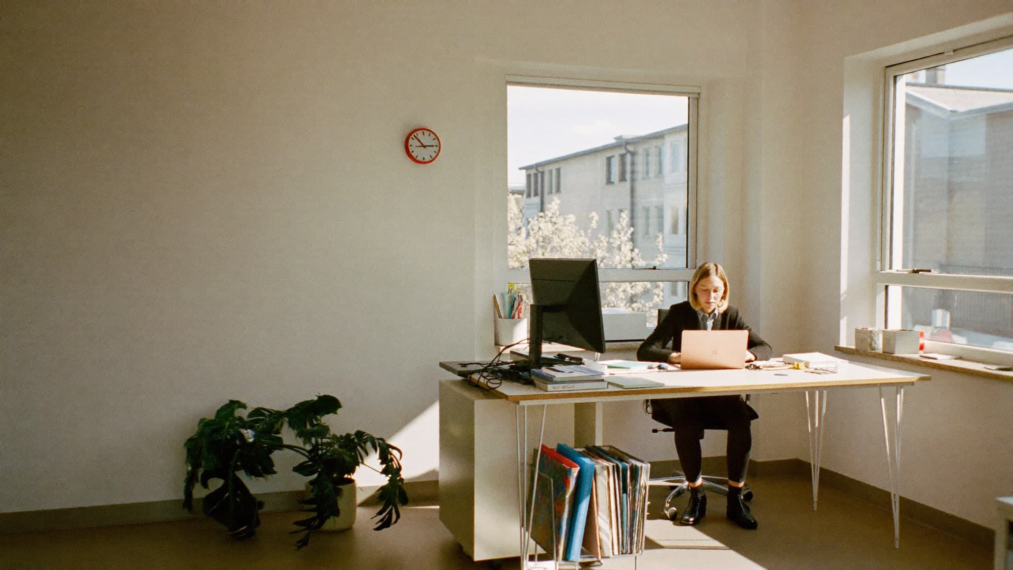 A colleague working at a laptop in a quiet, orderly office.